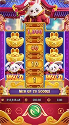 Fortune Rabbit · Panduan Antarmuka dan Navigasi Kisi Fortune Rabbit